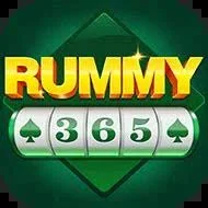 Rummy 365 — App icon